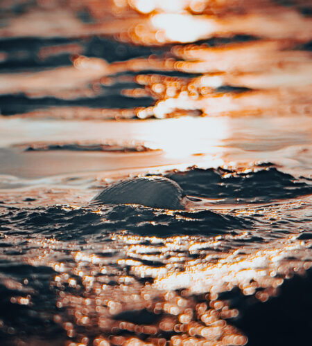 Ein Kurztrip nach Rømø