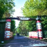 Entdecke die Wunder der Tierwelt: Ein Tag im Serengeti Park Hodenhagen